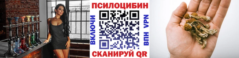 Купить  Морозовск  Псилоцибиновые грибы прущие грибы 